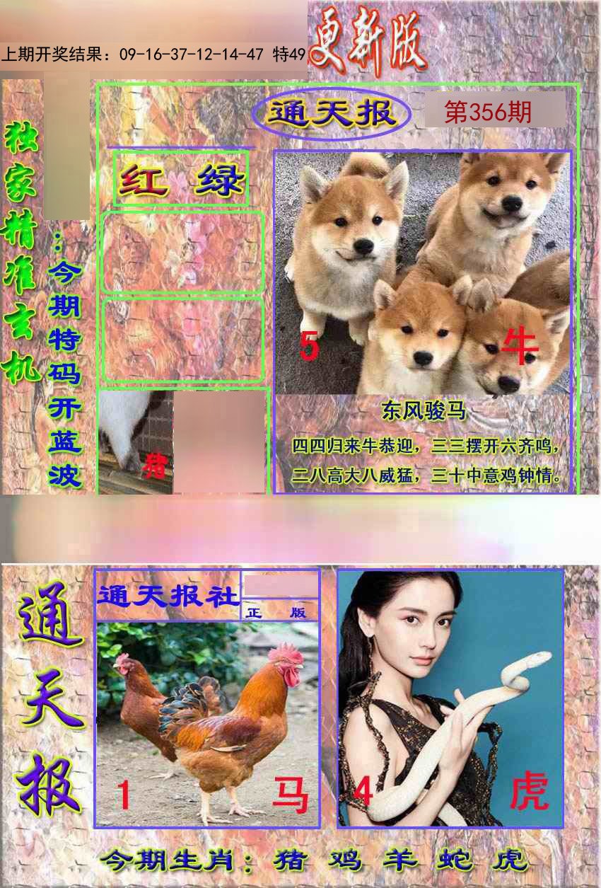 2024356期新通报