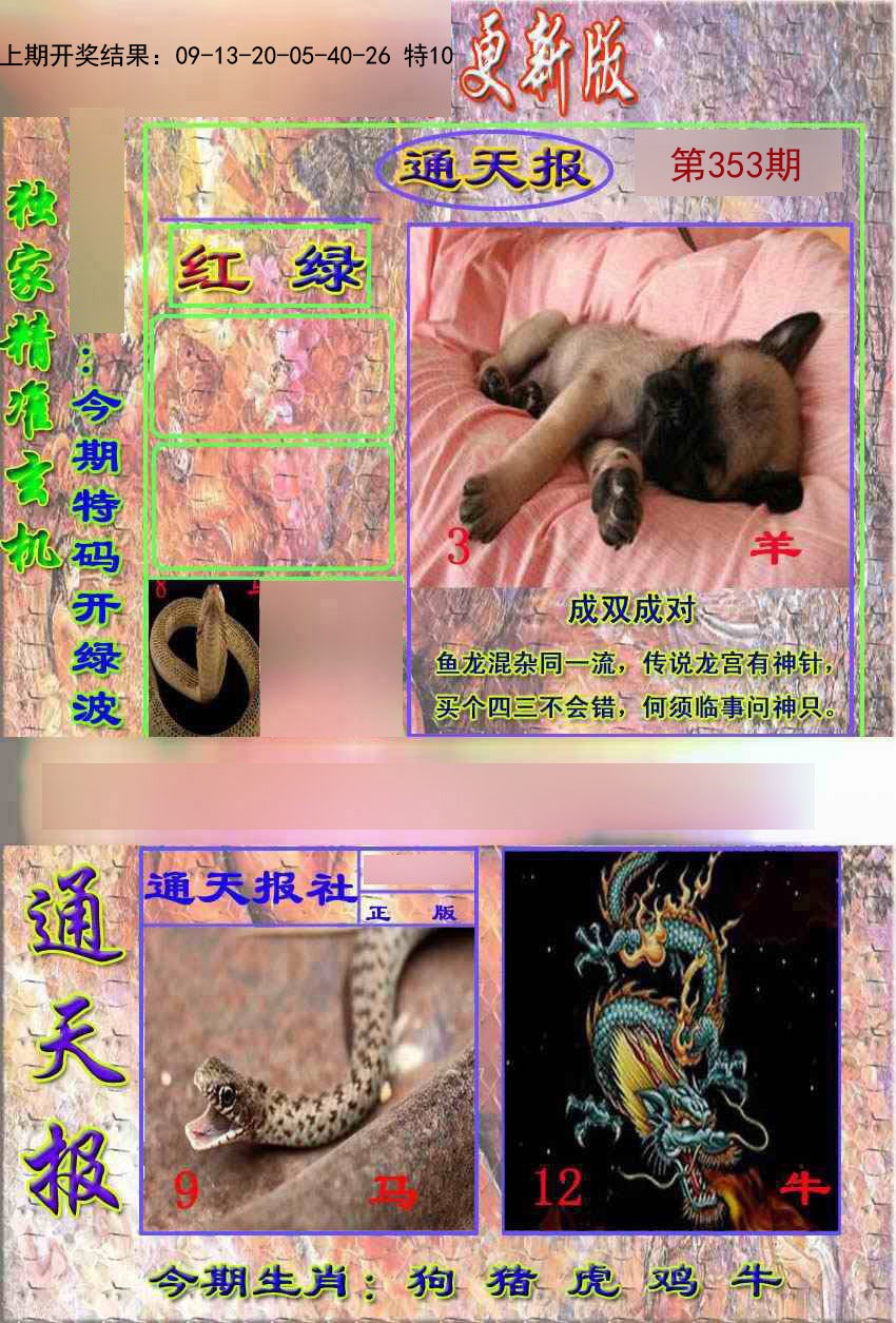 2024353期新通报