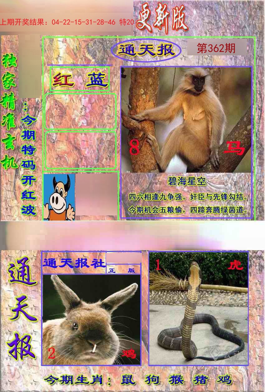 2024362期新通报