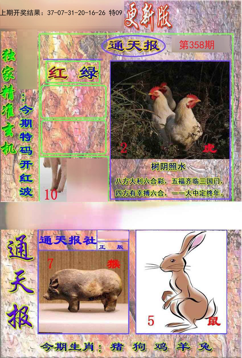 2024358期新通报