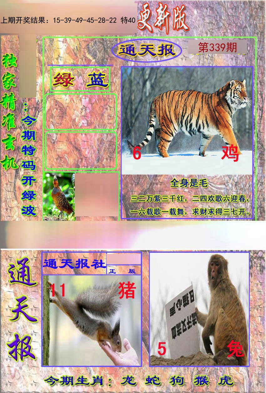 2024339期新通报