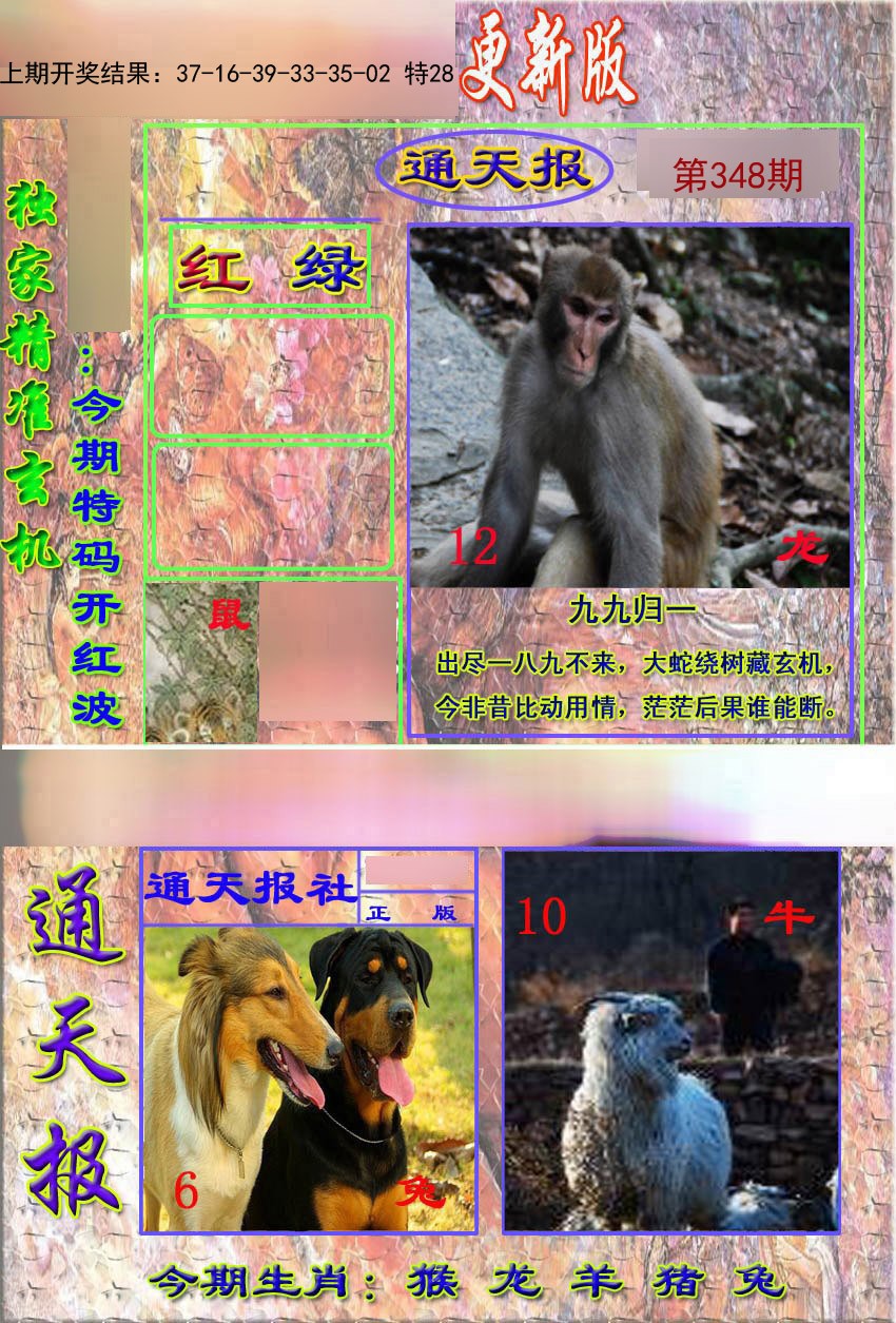 2024348期新通报