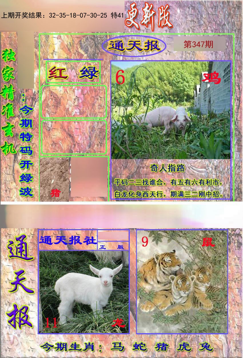 2024347期新通报
