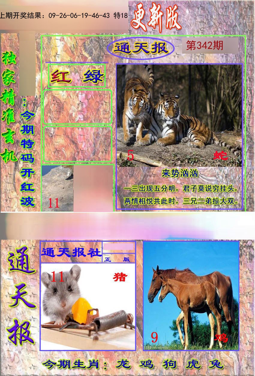 2024342期新通报