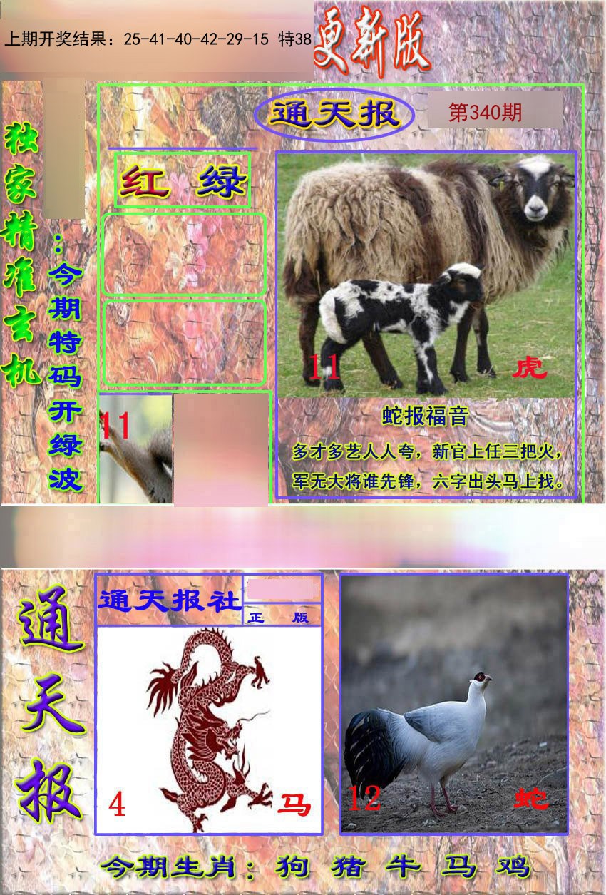 2024340期新通报