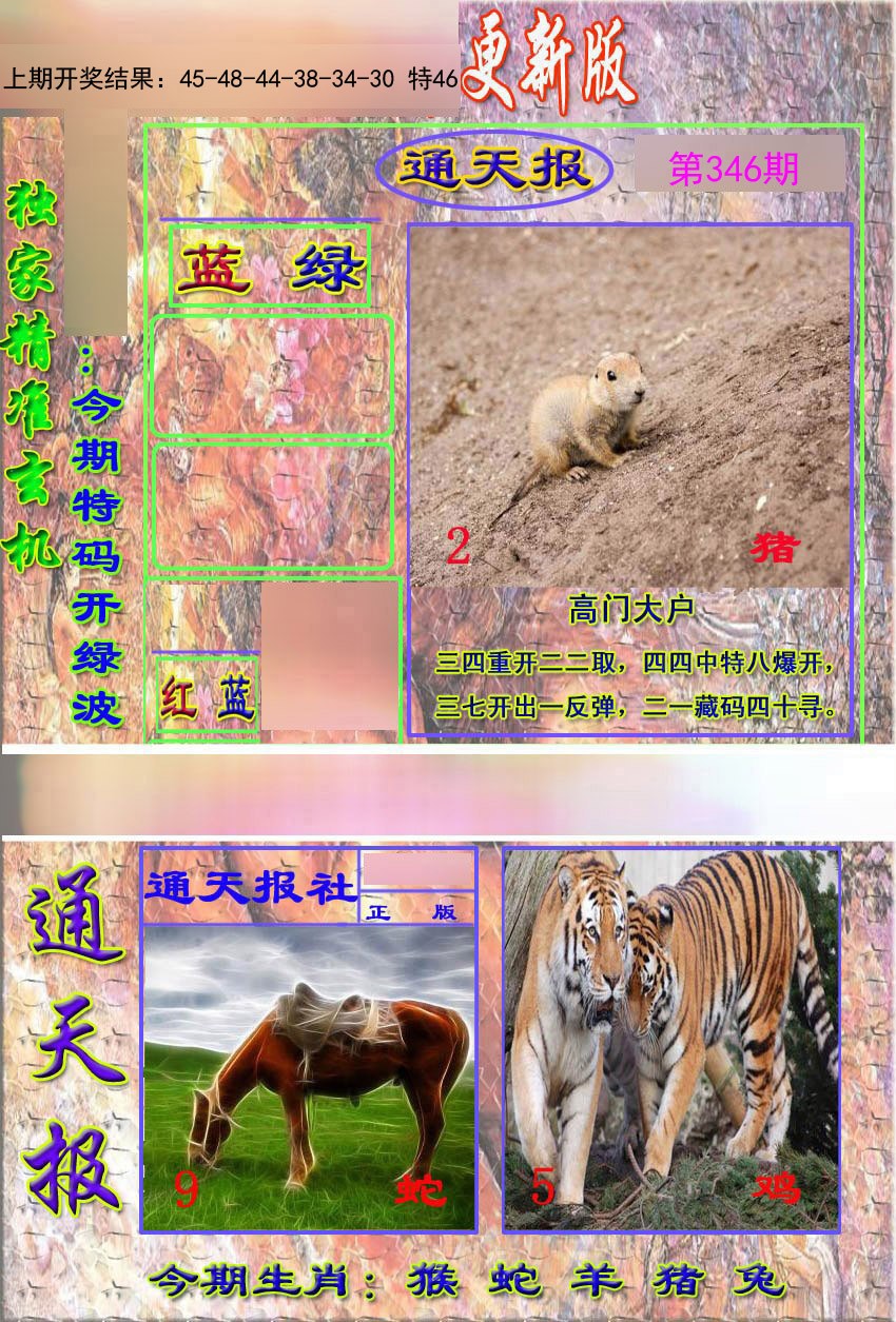 2024346期新通报