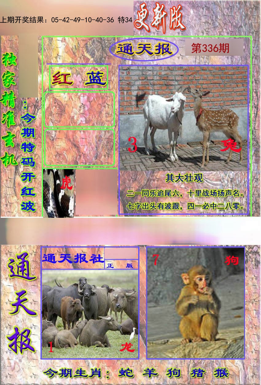 2024336期新通报
