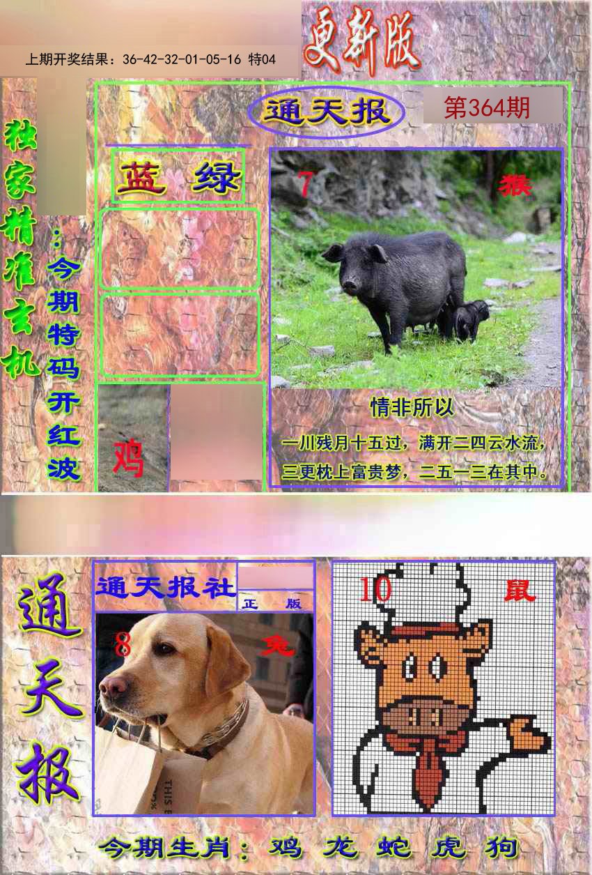 2024364期新通报