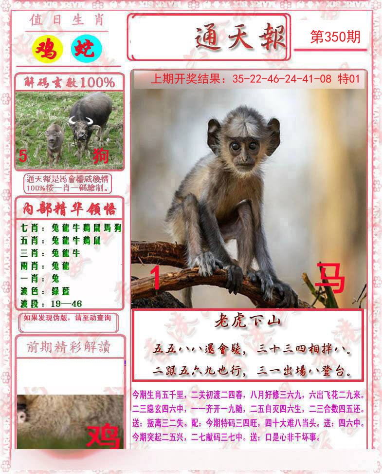 2024350期马经通天报