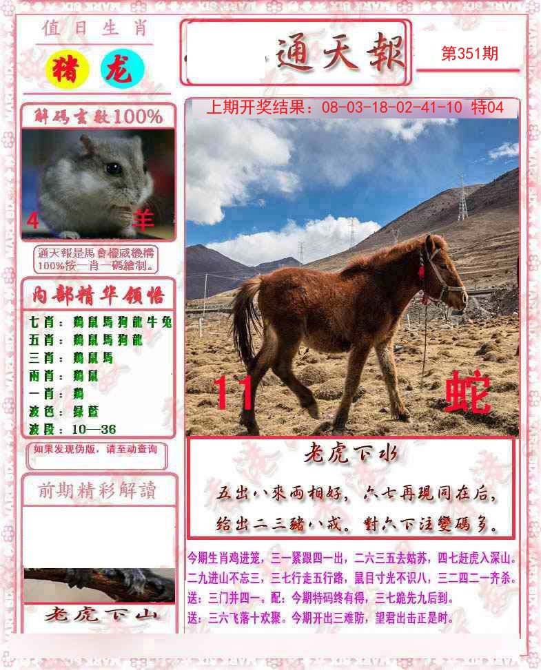 2024351期马经通天报