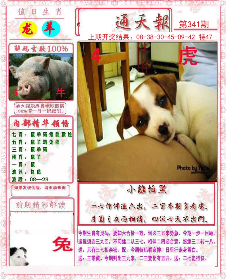 2024341期马经通天报