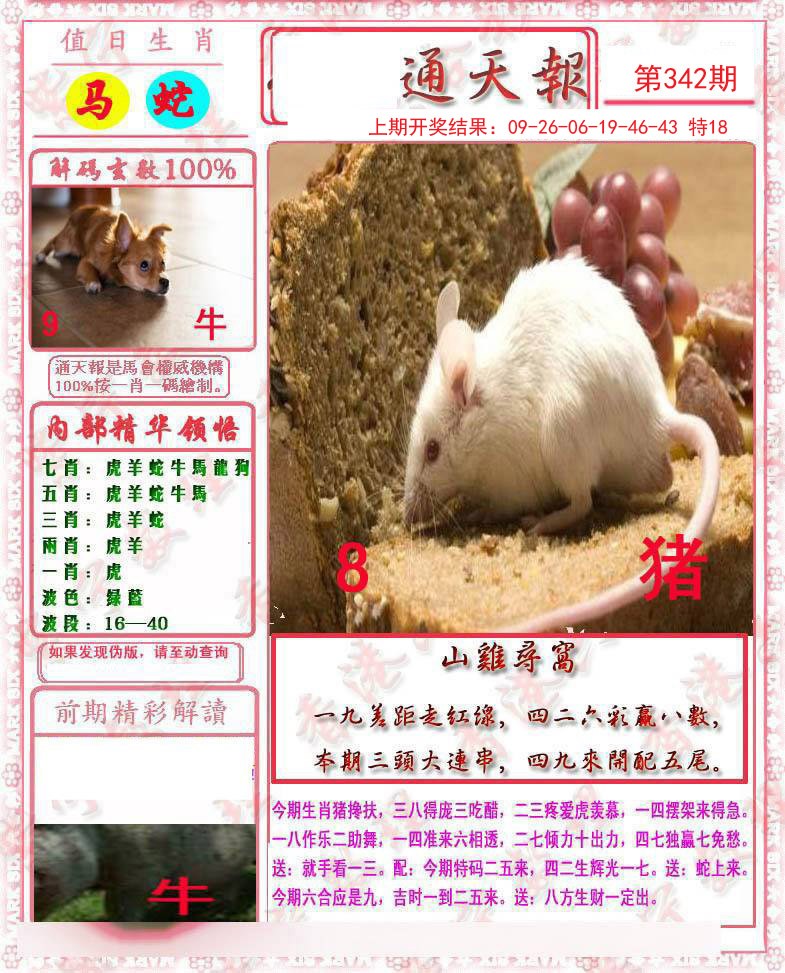 2024342期马经通天报