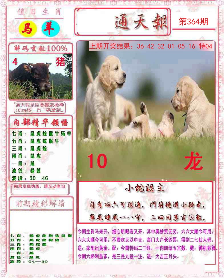 2024364期马经通天报