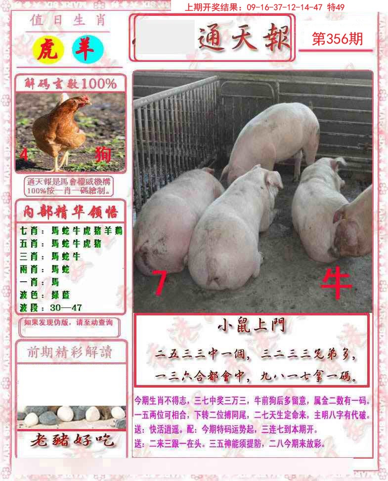 2024356期马经通天报