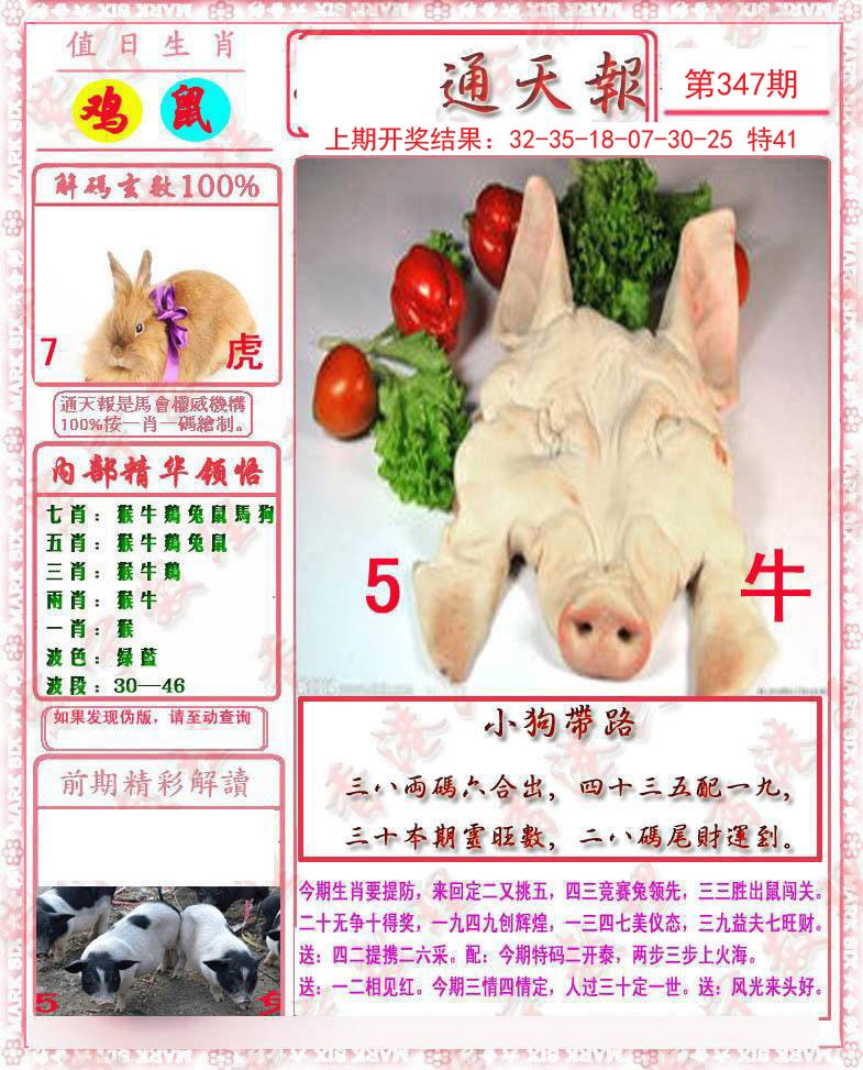 2024347期马经通天报