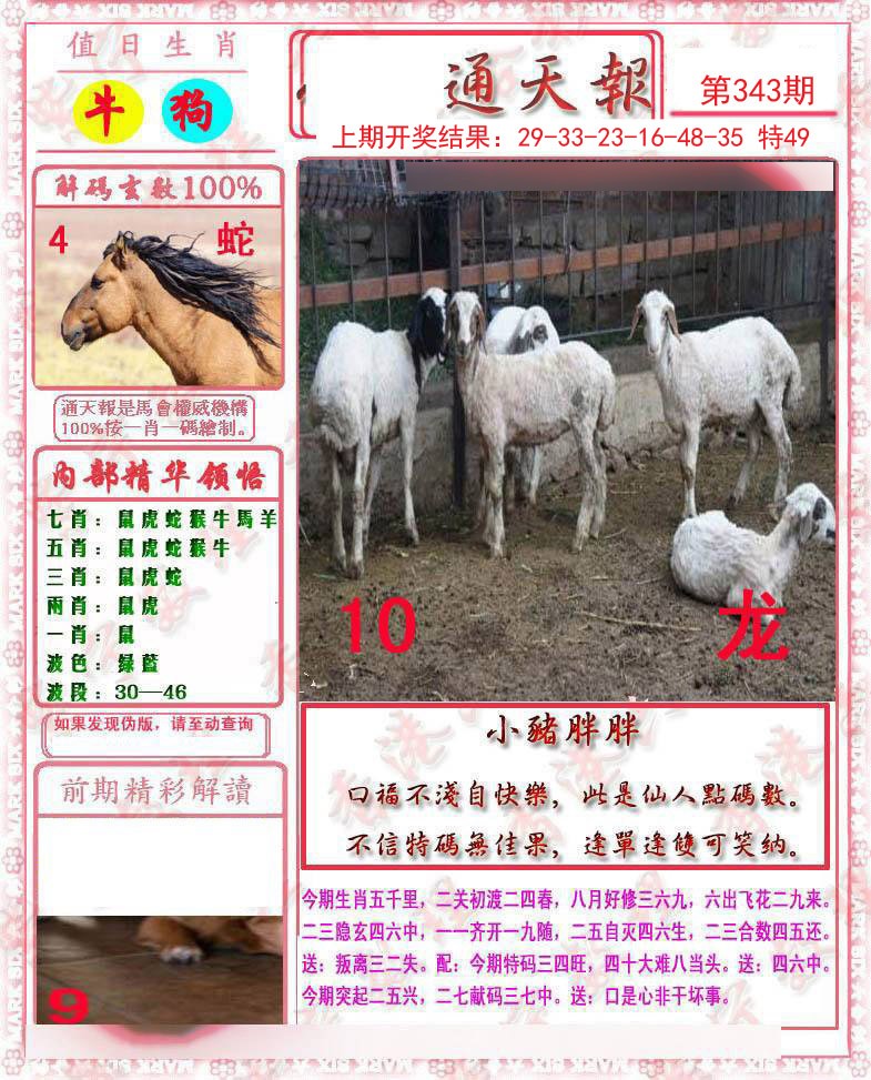 2024343期马经通天报