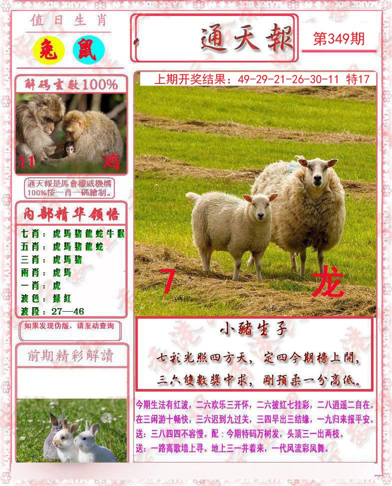2024349期马经通天报