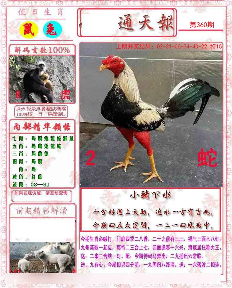 2024360期马经通天报