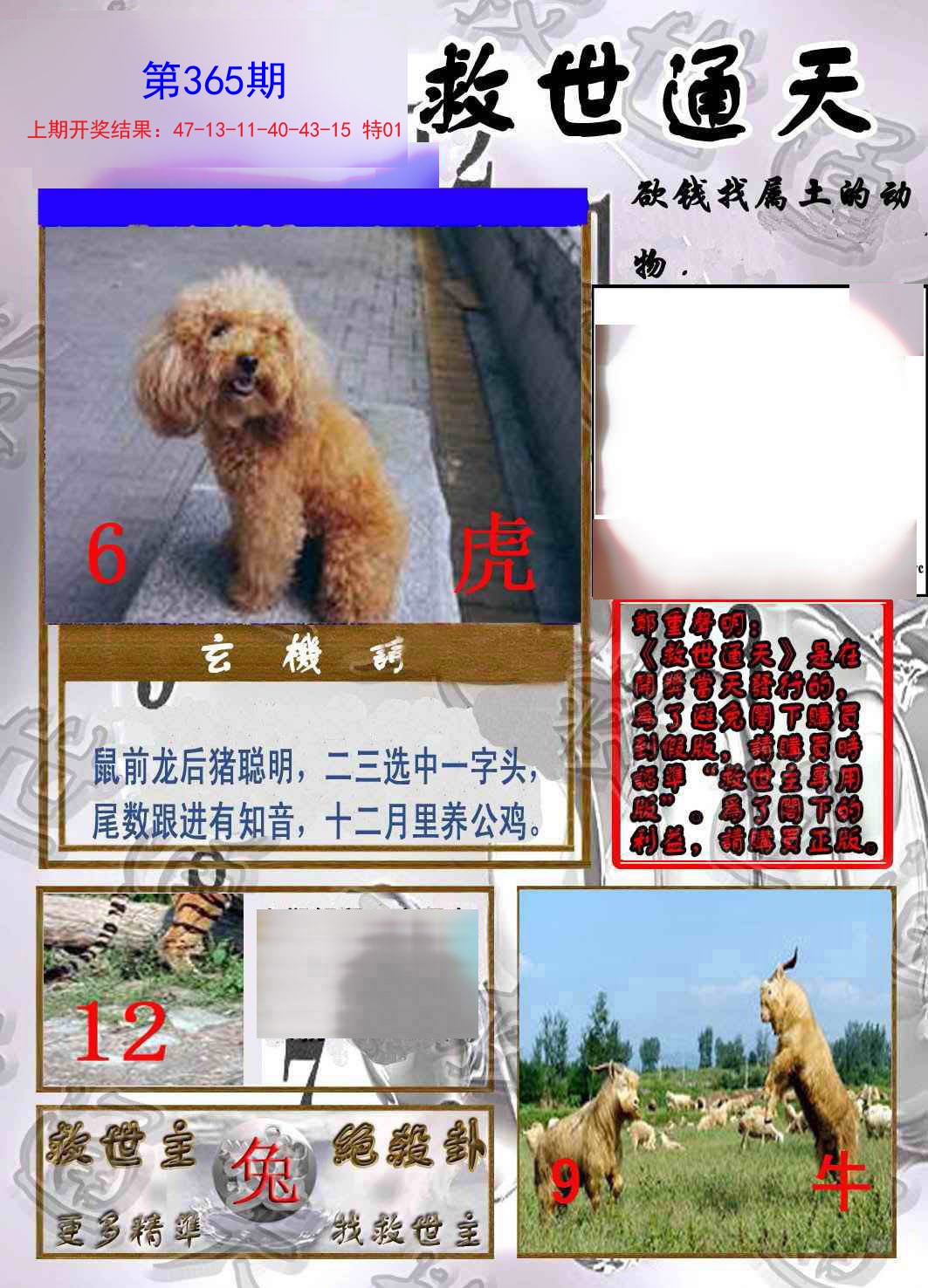 2024365期救世通天报