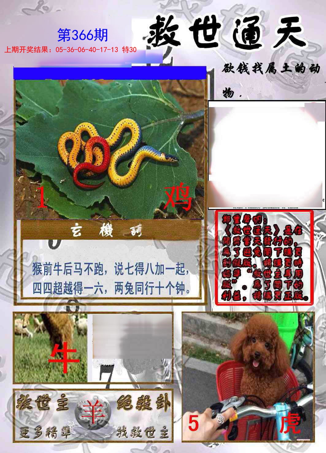 2024366期救世通天报
