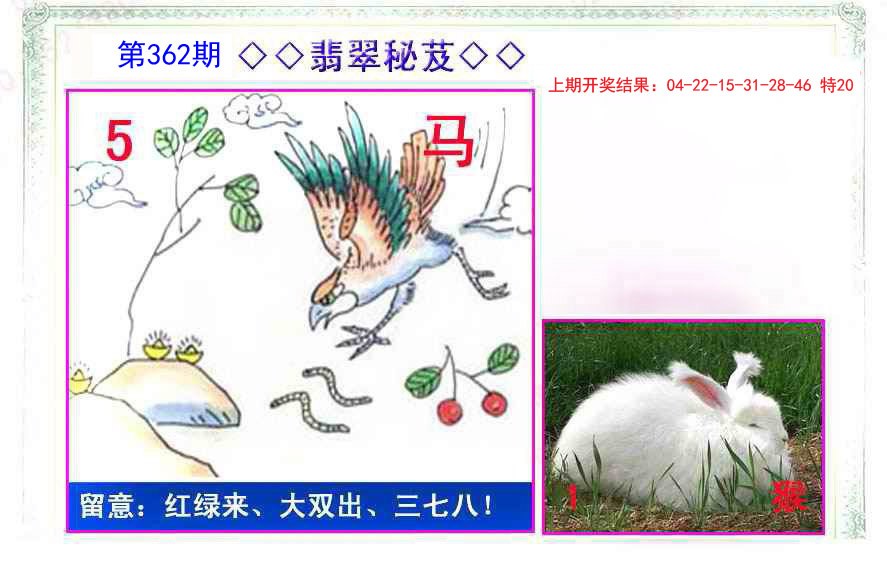 2024362期翡翠报