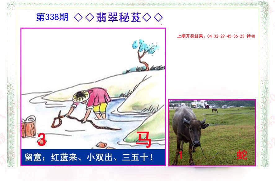 2024338期翡翠报