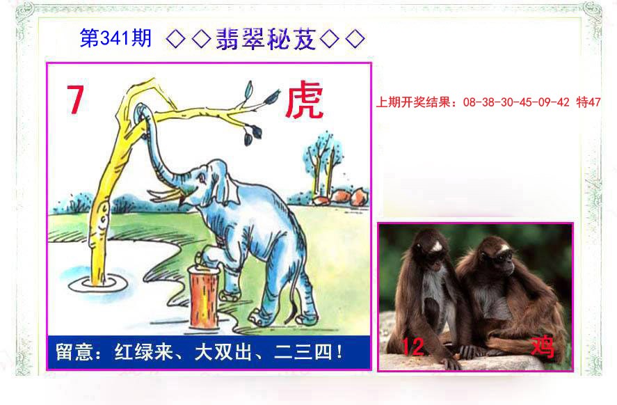2024341期翡翠报