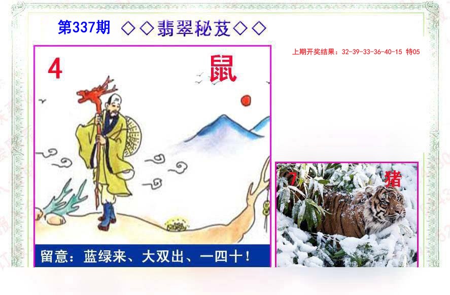 2024337期翡翠报