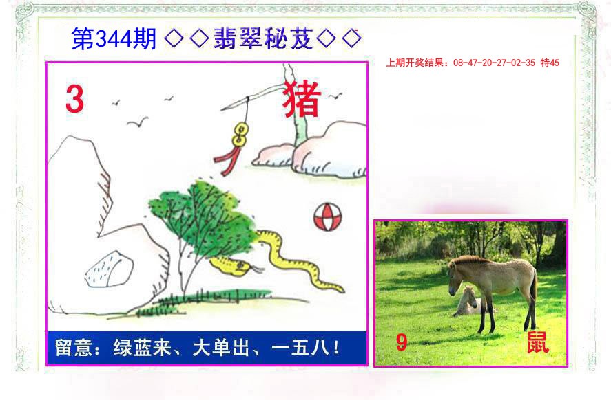 2024344期翡翠报
