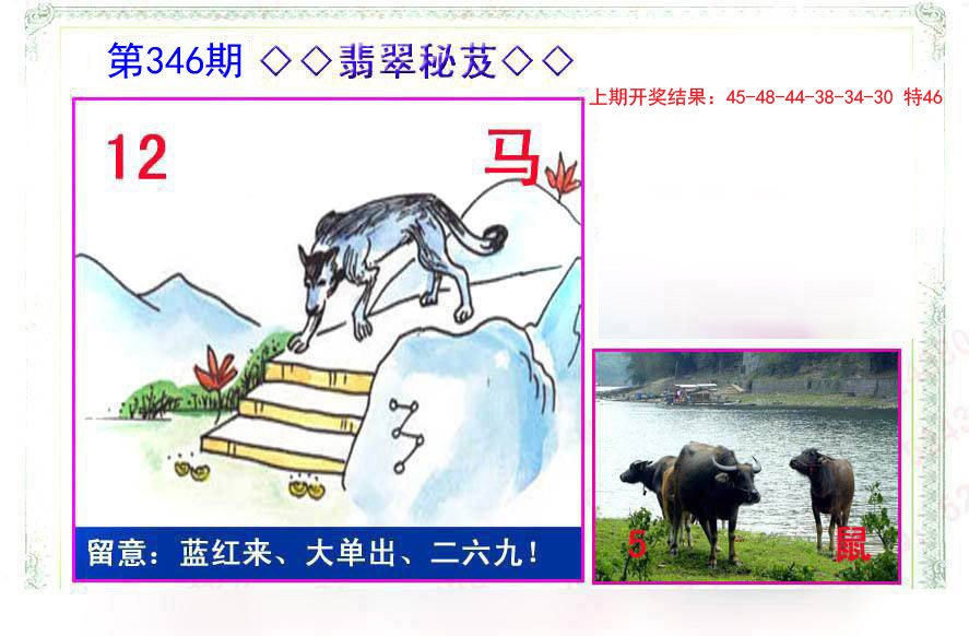 2024346期翡翠报