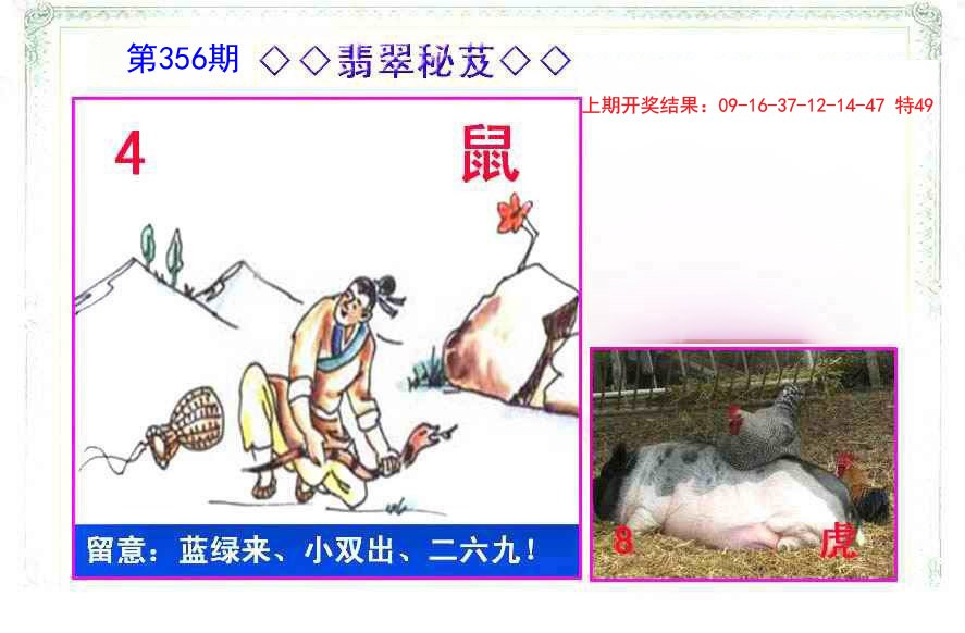 2024356期翡翠报