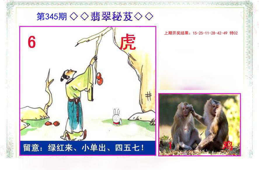 2024345期翡翠报