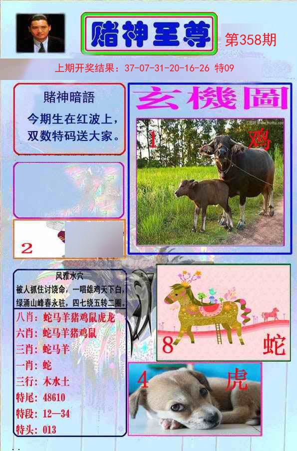 2024358期赌神至尊