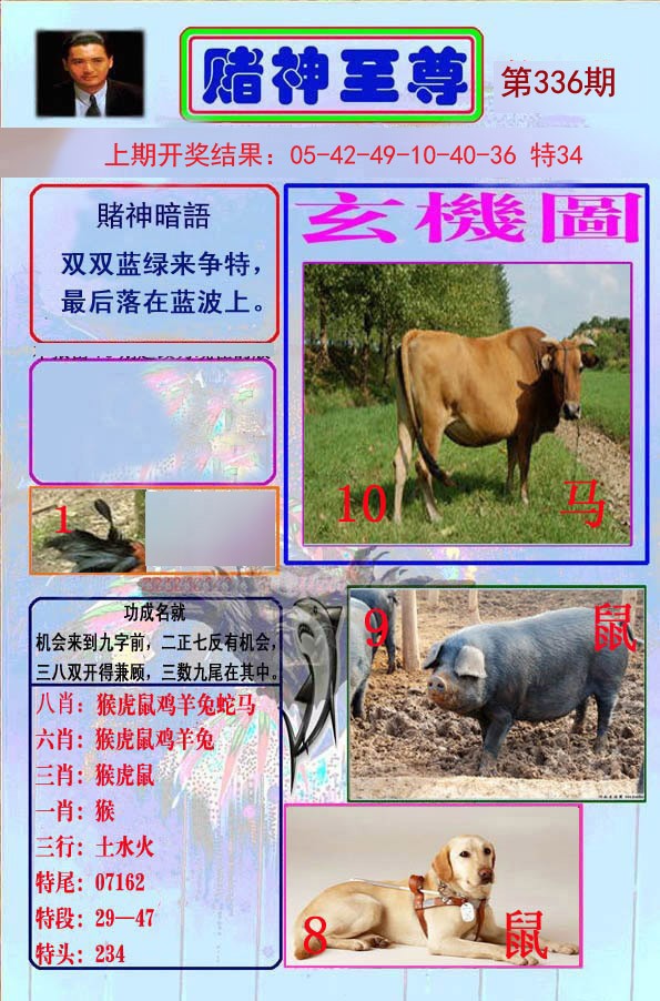 2024336期赌神至尊