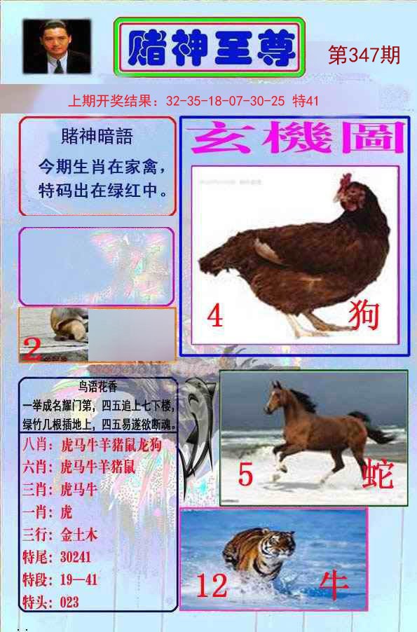 2024347期赌神至尊