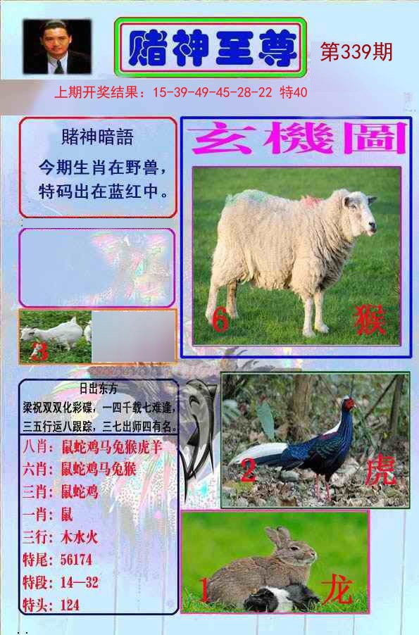 2024339期赌神至尊