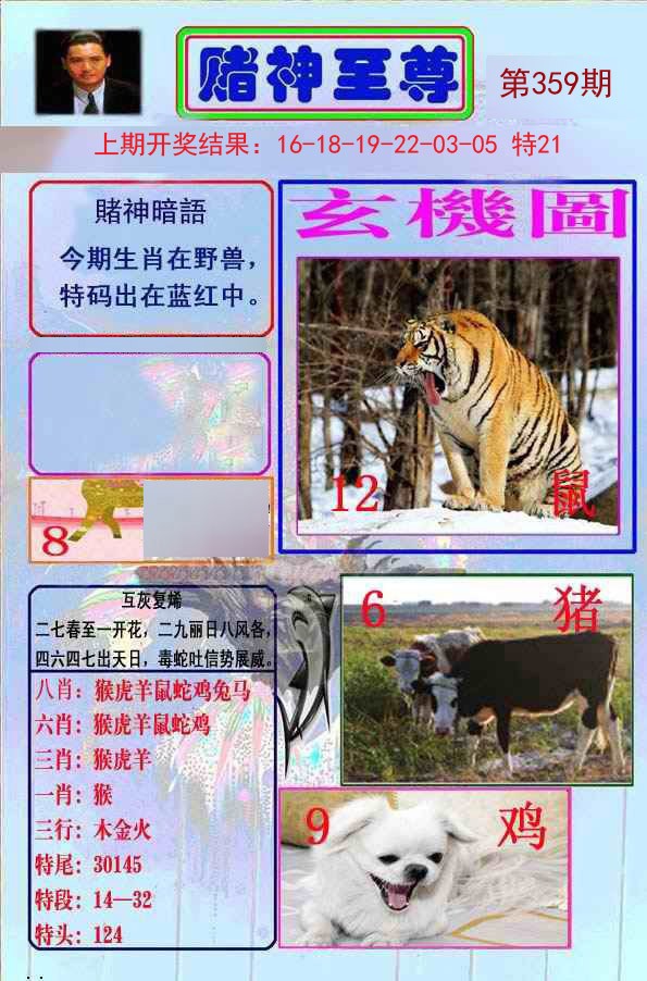 2024359期赌神至尊