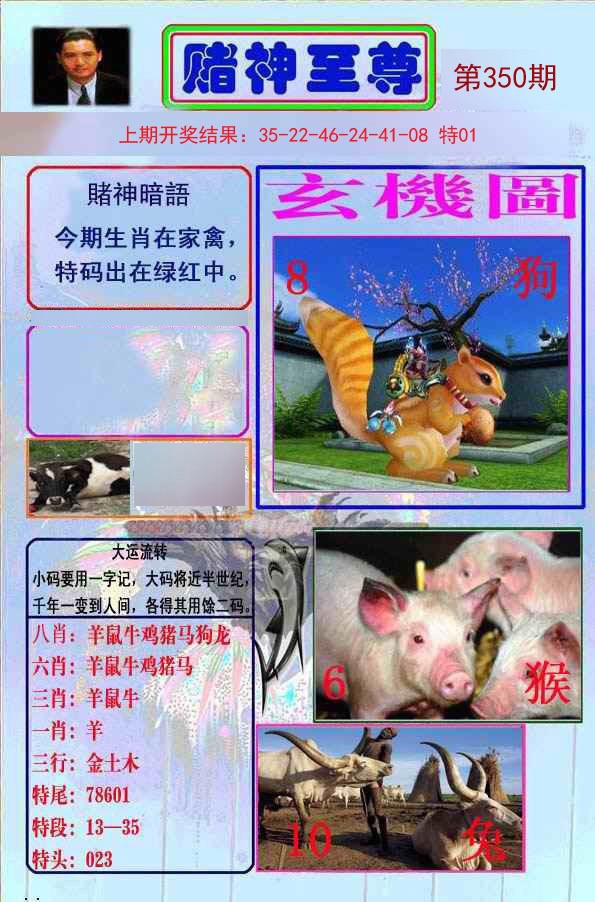 2024350期赌神至尊