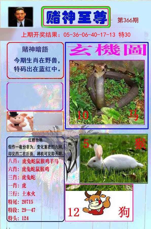 2024366期赌神至尊