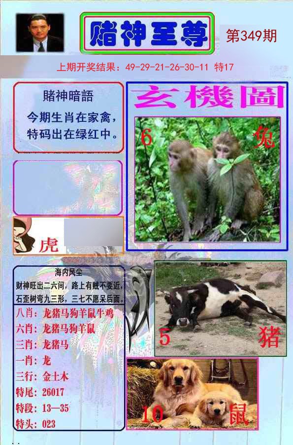 2024349期赌神至尊