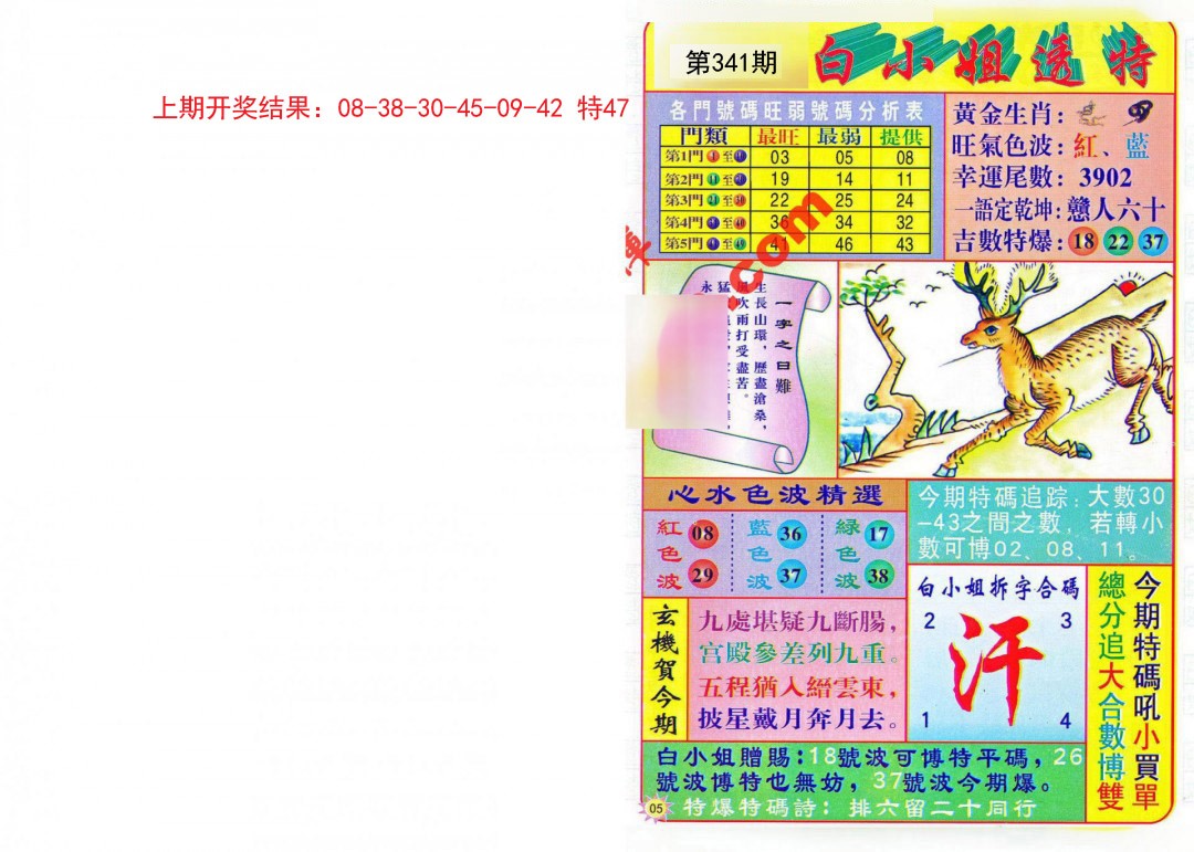 2024341期白小姐透特