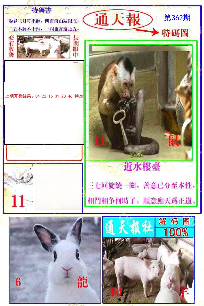 2024362期通天特解图