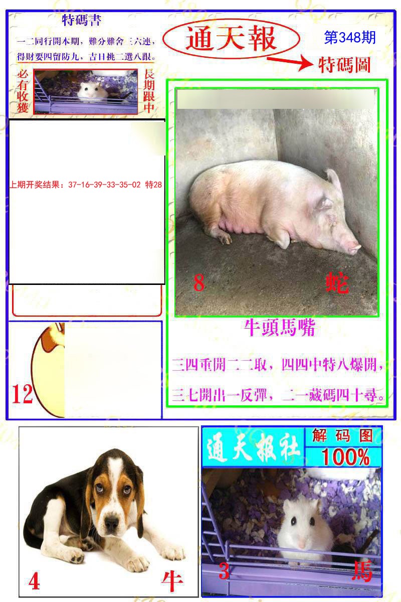2024348期通天特解图