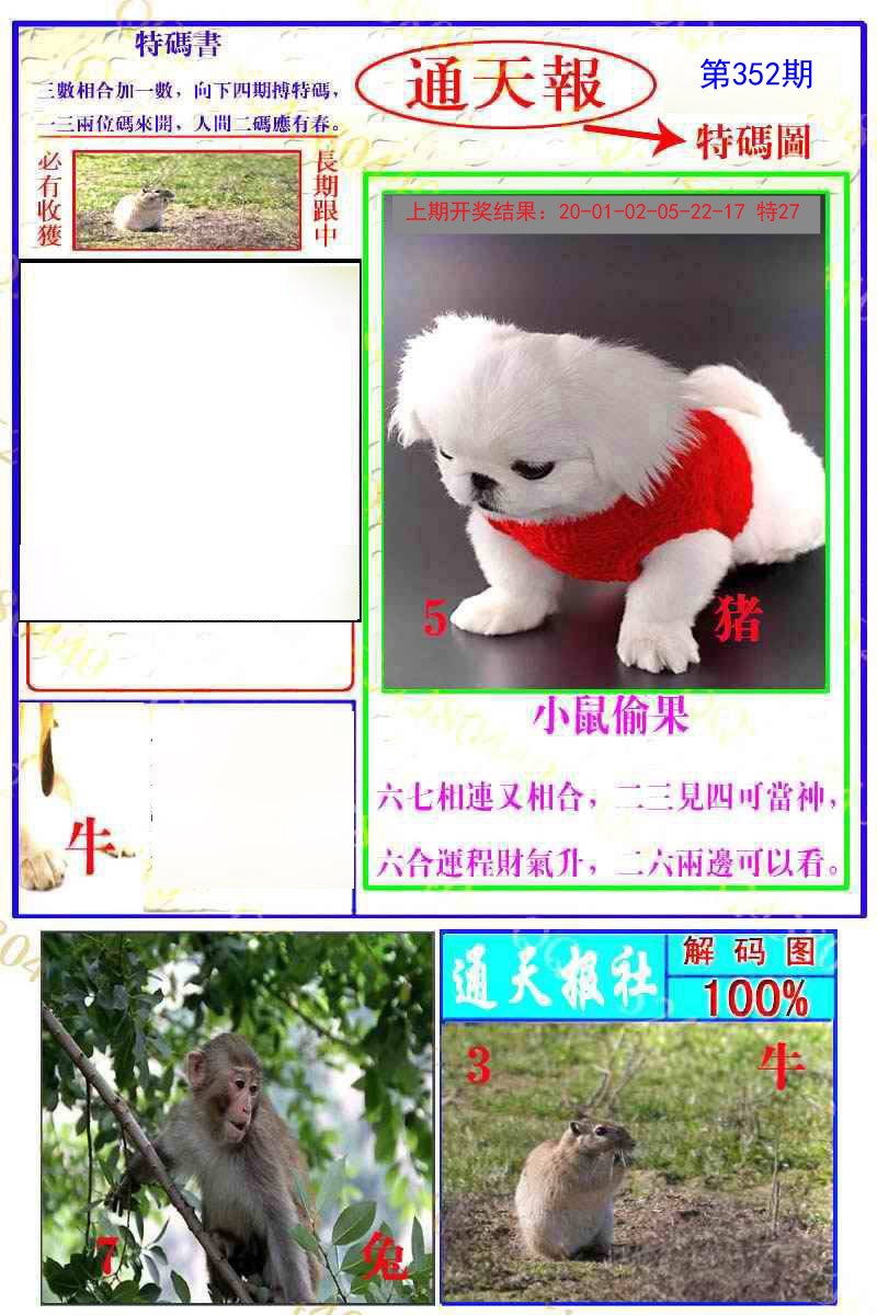 2024352期通天特解图