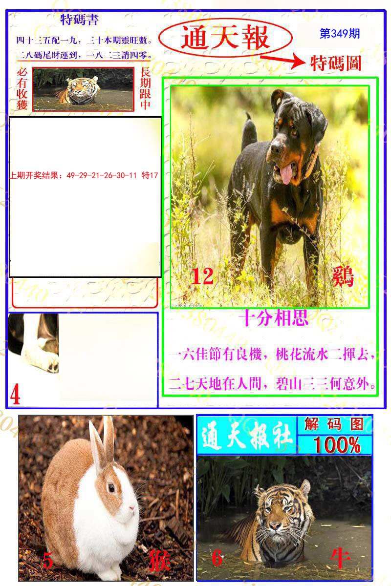 2024349期通天特解图