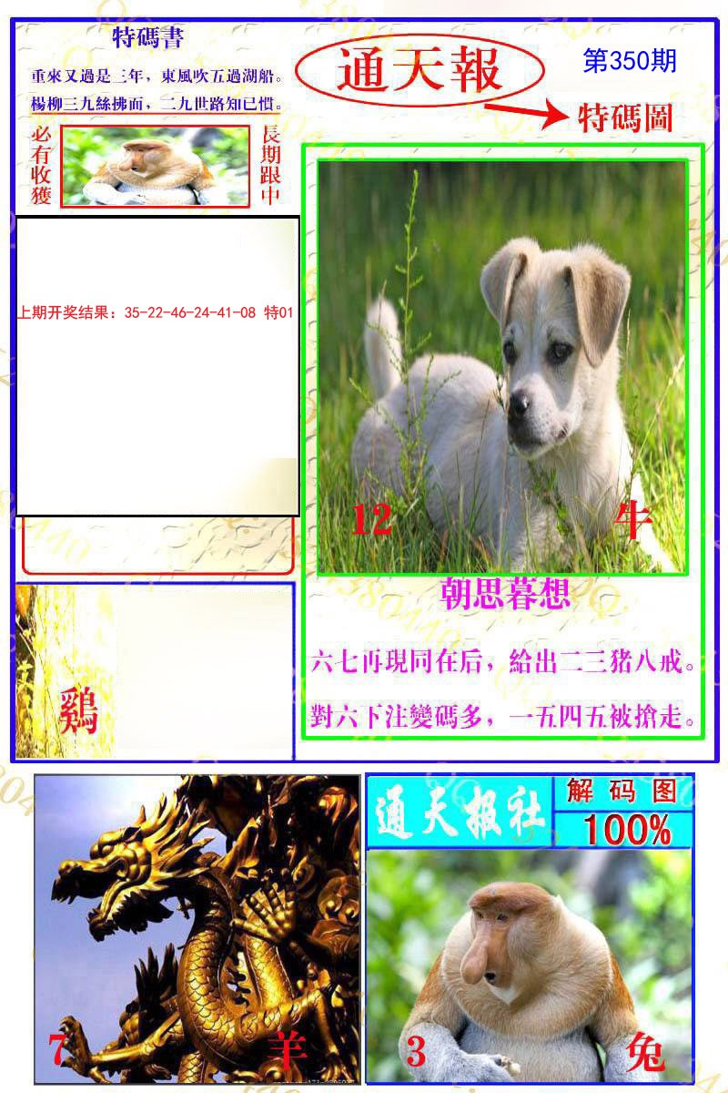2024350期通天特解图