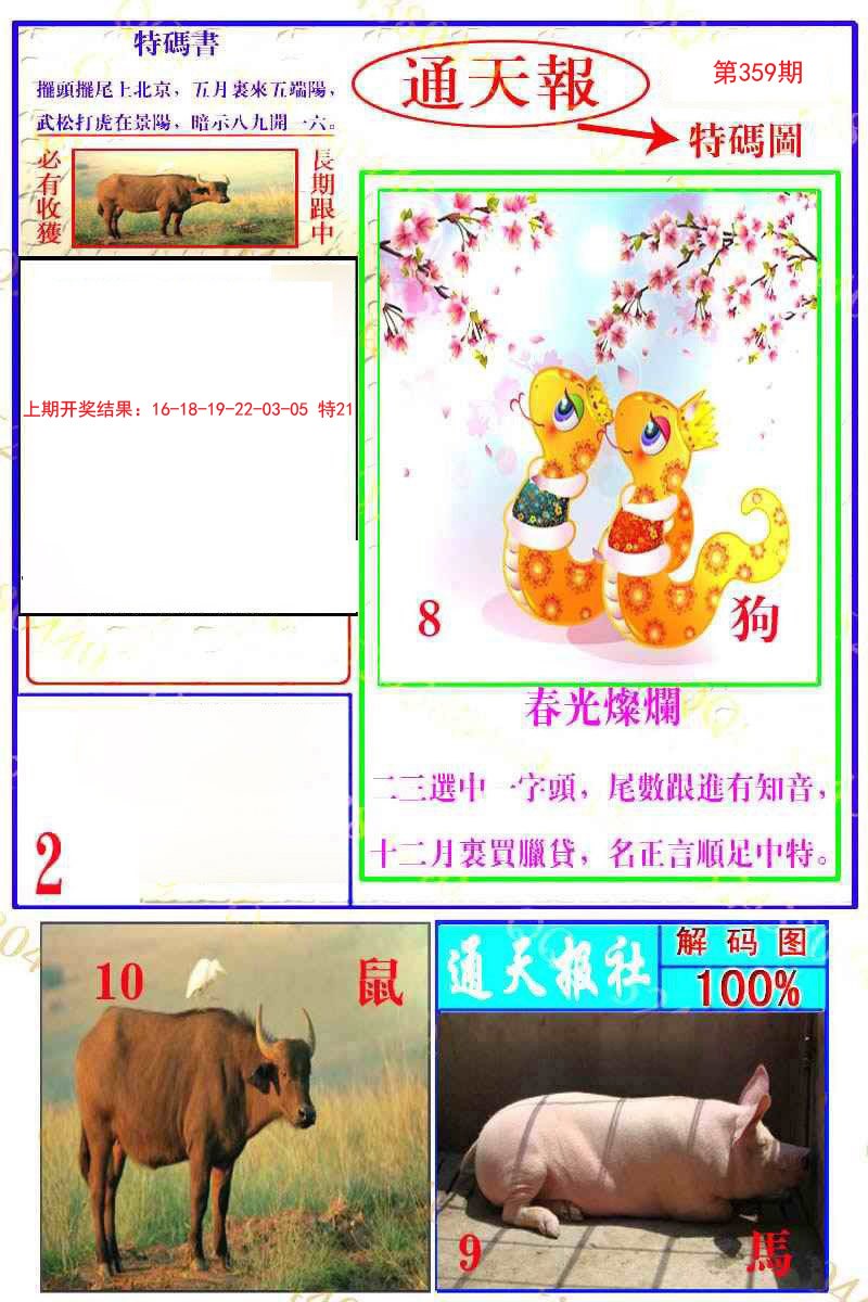2024359期通天特解图