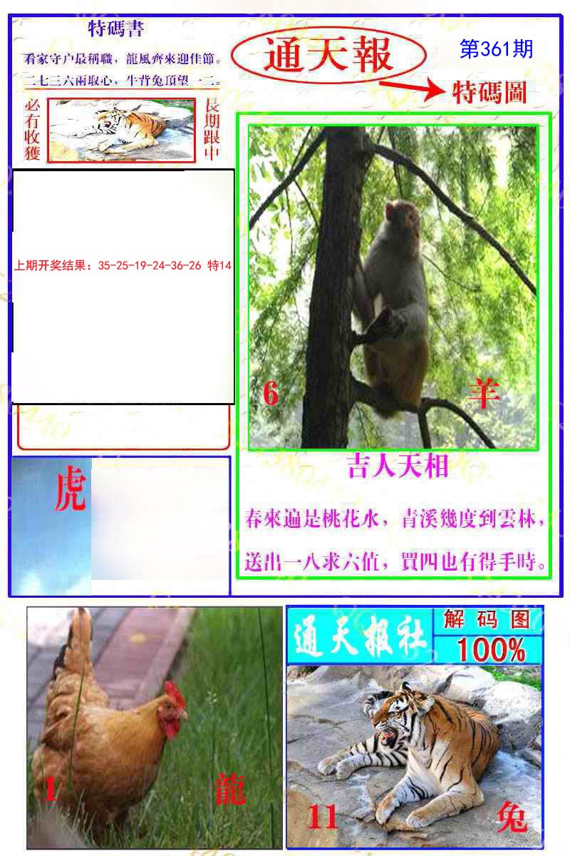 2024361期通天特解图