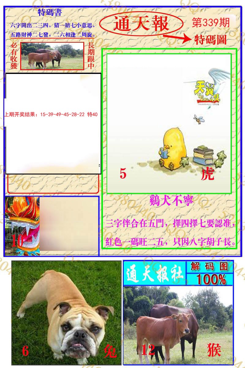 2024339期通天特解图