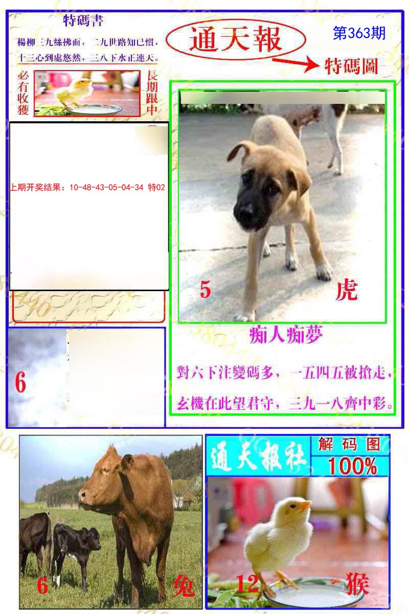 2024363期通天特解图